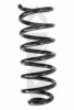 SPIDAN 86705 Coil Spring